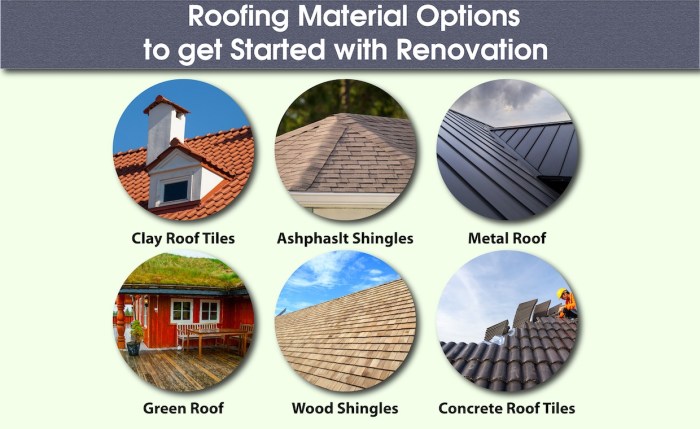 Exploring the World of Roofing Materials